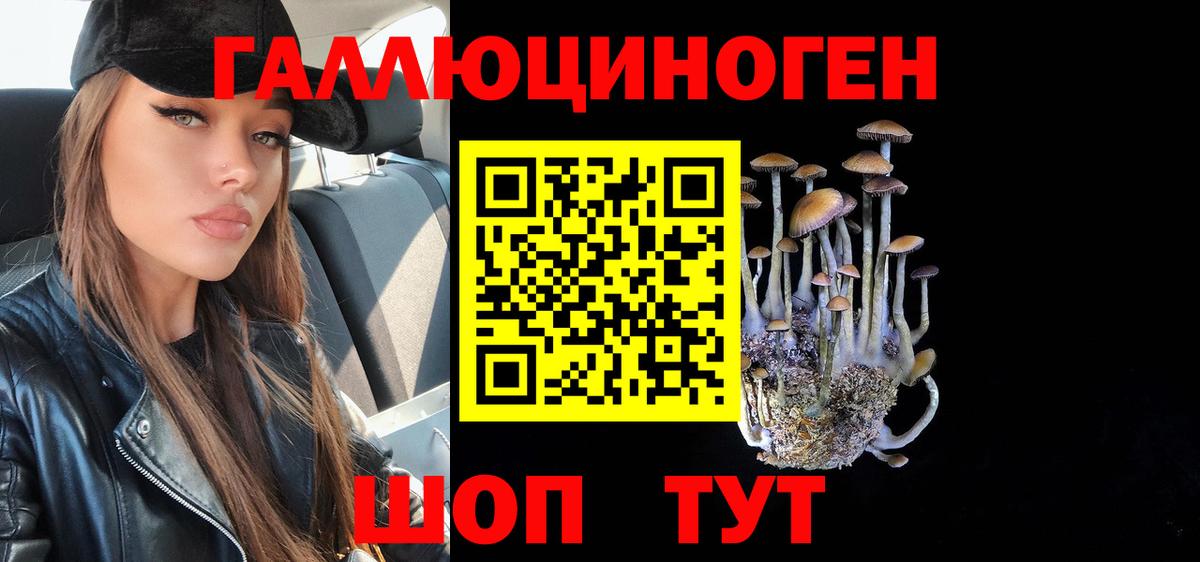 Псилоцибиновые грибы мицелий Кохма